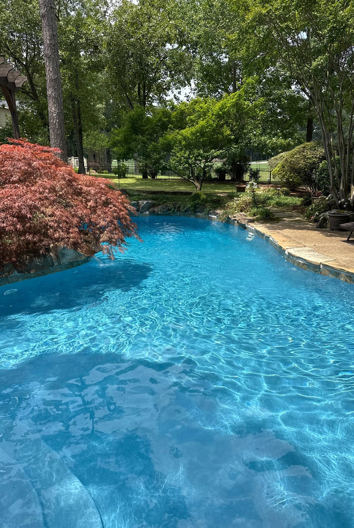 newly cleaned pool with a salt system upgrade